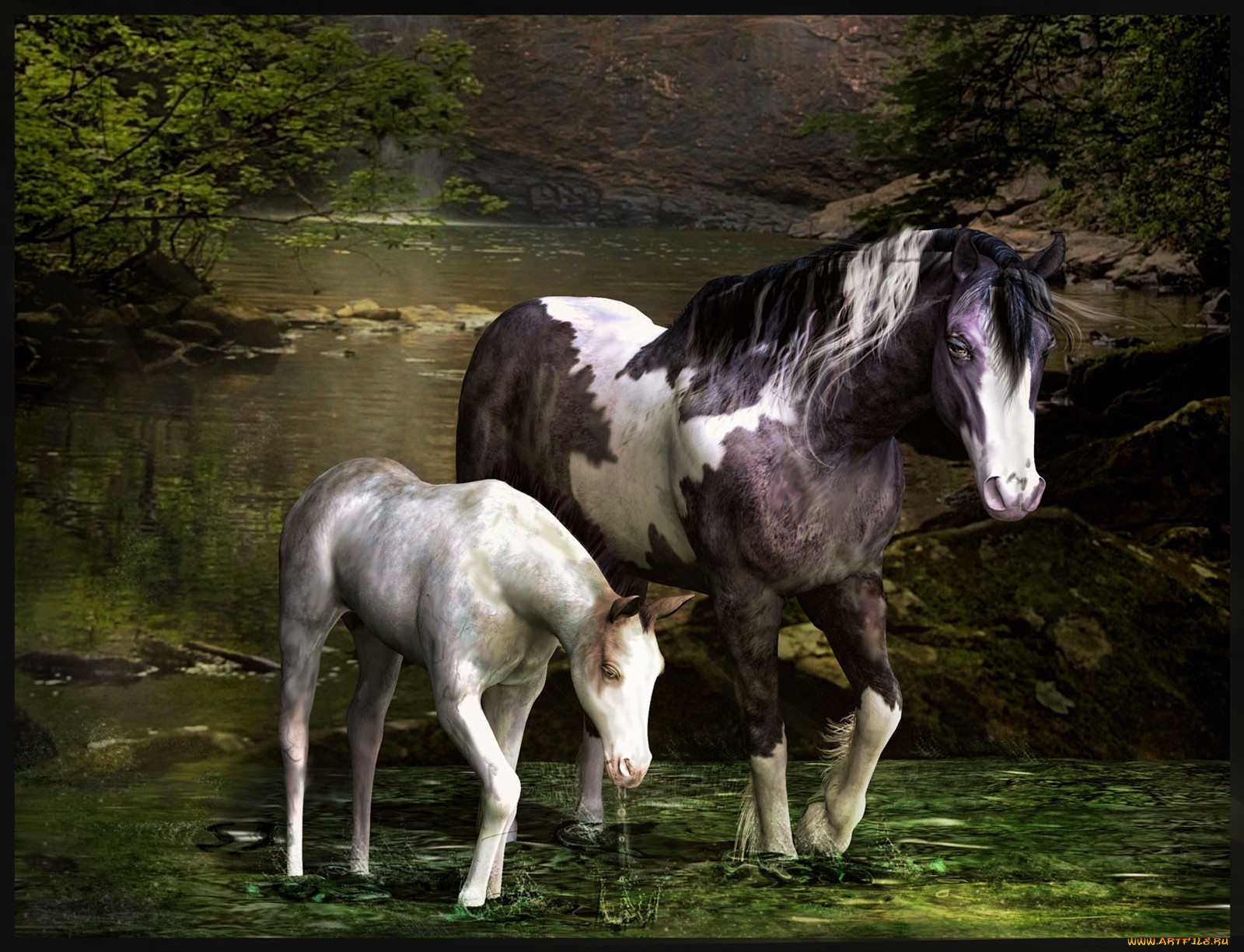 3, , animals, , , 